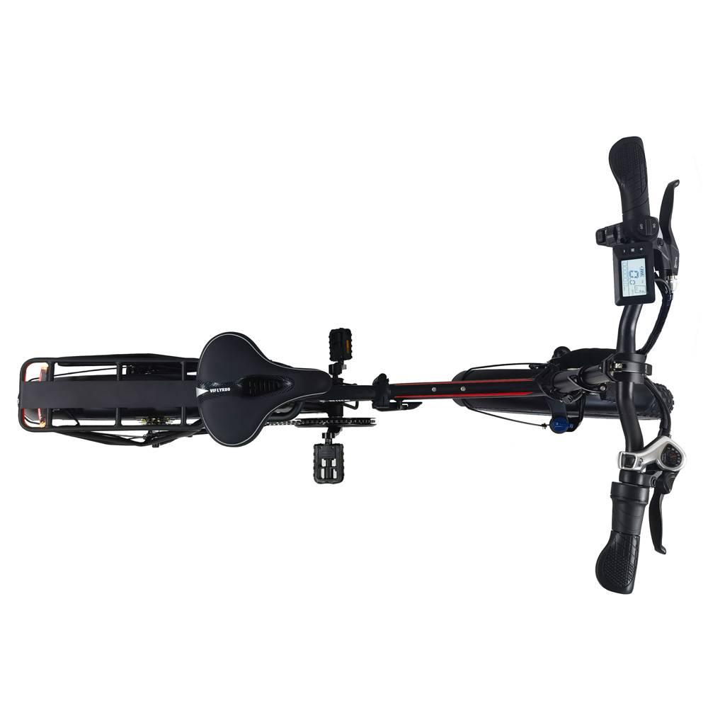 DriveTron DZ2031 Electric Bike