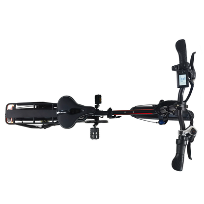 DriveTron DZ2031 Electric Bike