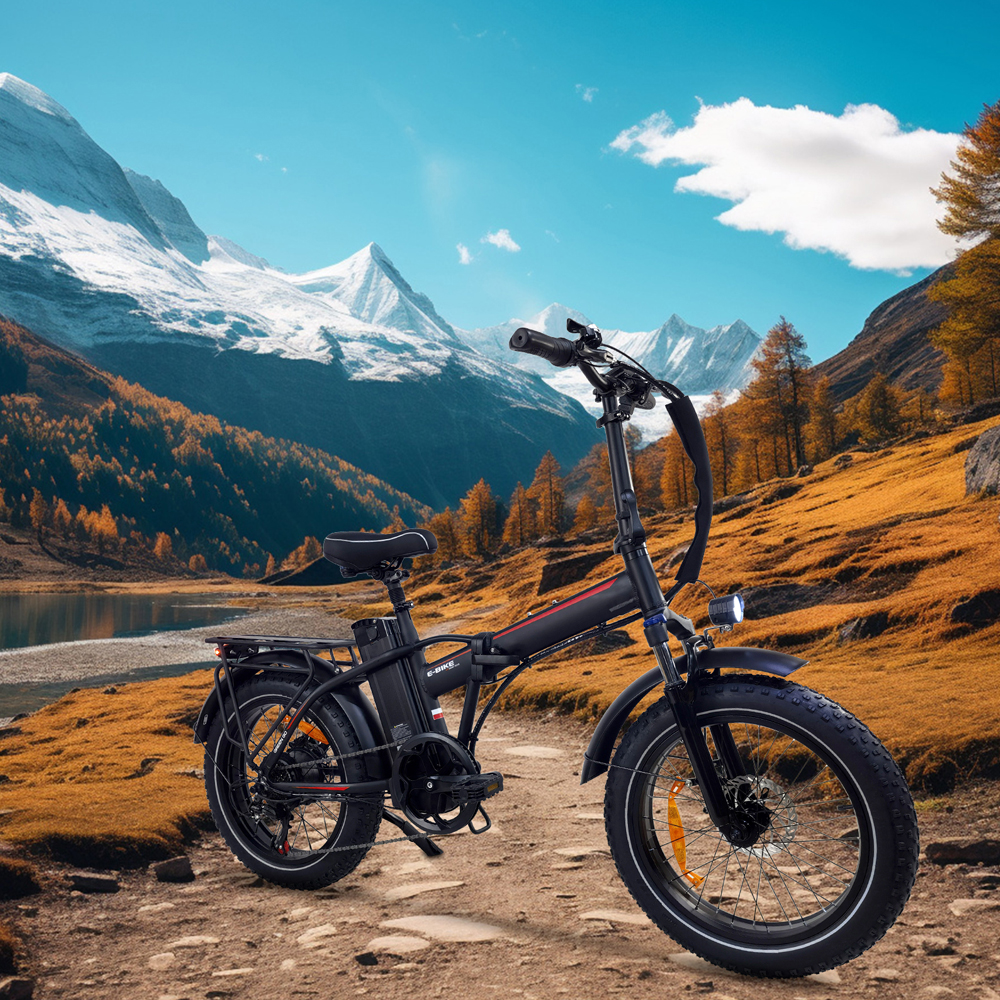 DriveTron DZ2031 Electric Bike