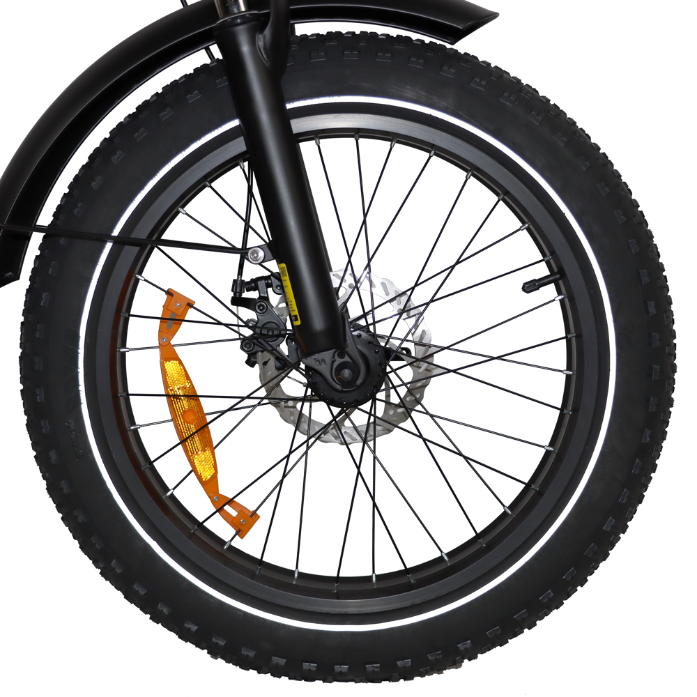 DriveTron DZ2031 Electric Bike