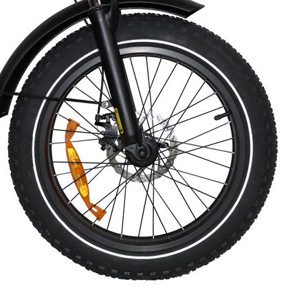 DriveTron DZ2031 Electric Bike