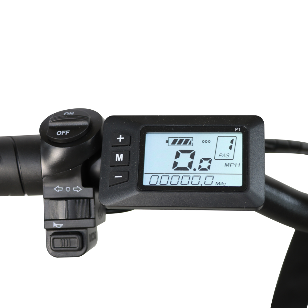 DriveTron DZ2031 Electric Bike