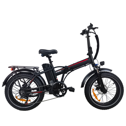 DriveTron DZ2031 Electric Bike