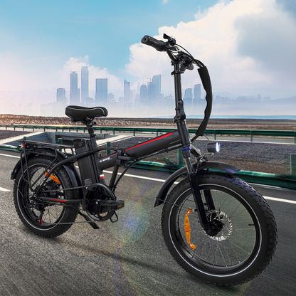 DriveTron DZ2031 Electric Bike