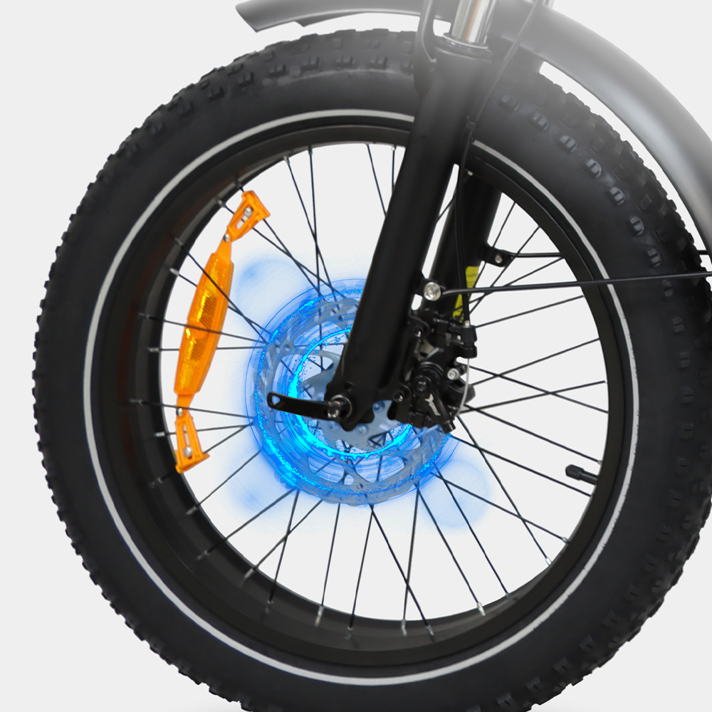 DriveTron DZ2031 Electric Bike