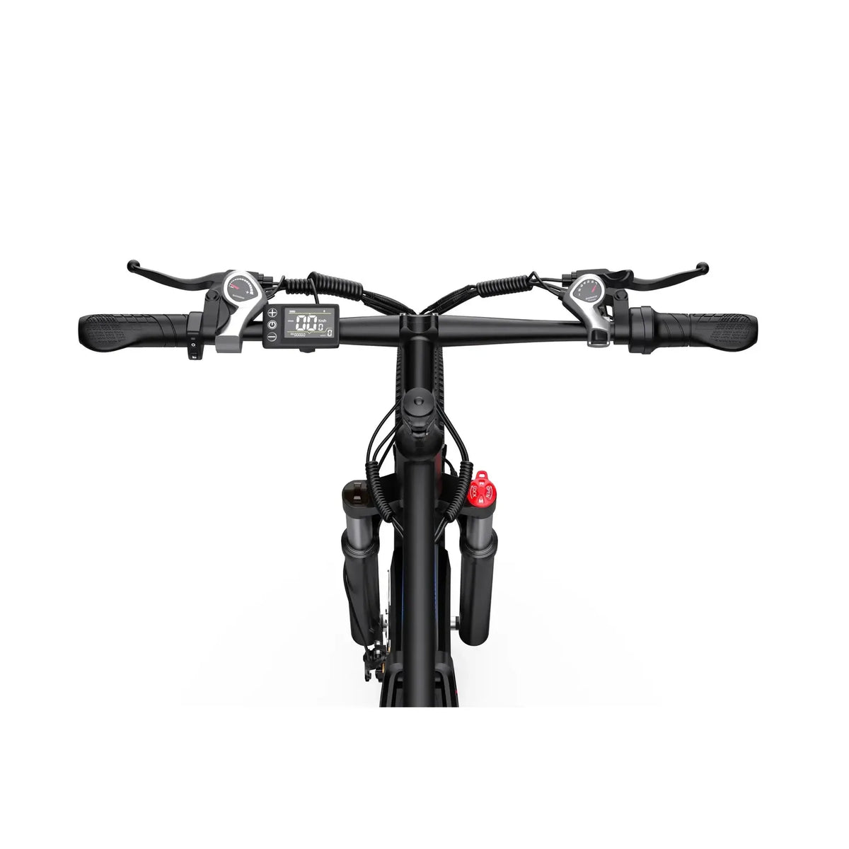 DUOTTS C29 Elektrofahrrad mit zwei Batterien, 29 Zoll, mit App und Gepäckträger, bis zu 50 km/h – Punk Ride