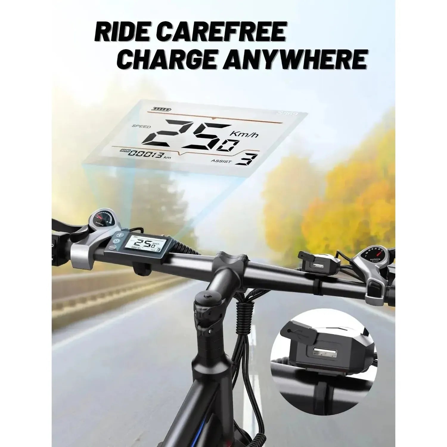 DUOTTS C29 Electric Bike 29 Inch Commuter with Suspension and LCD up to 50 Km/h