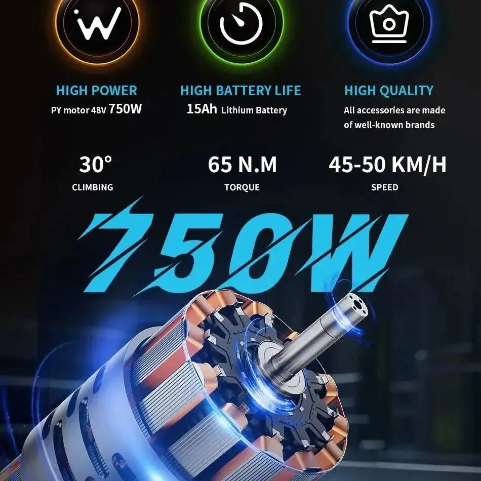 Duotts C29 Single Battery Electric Bike