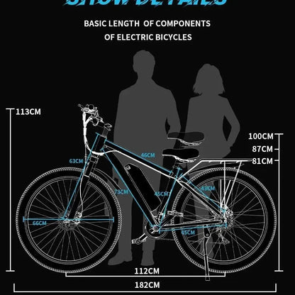 Duotts C29 Single Battery Electric Bike