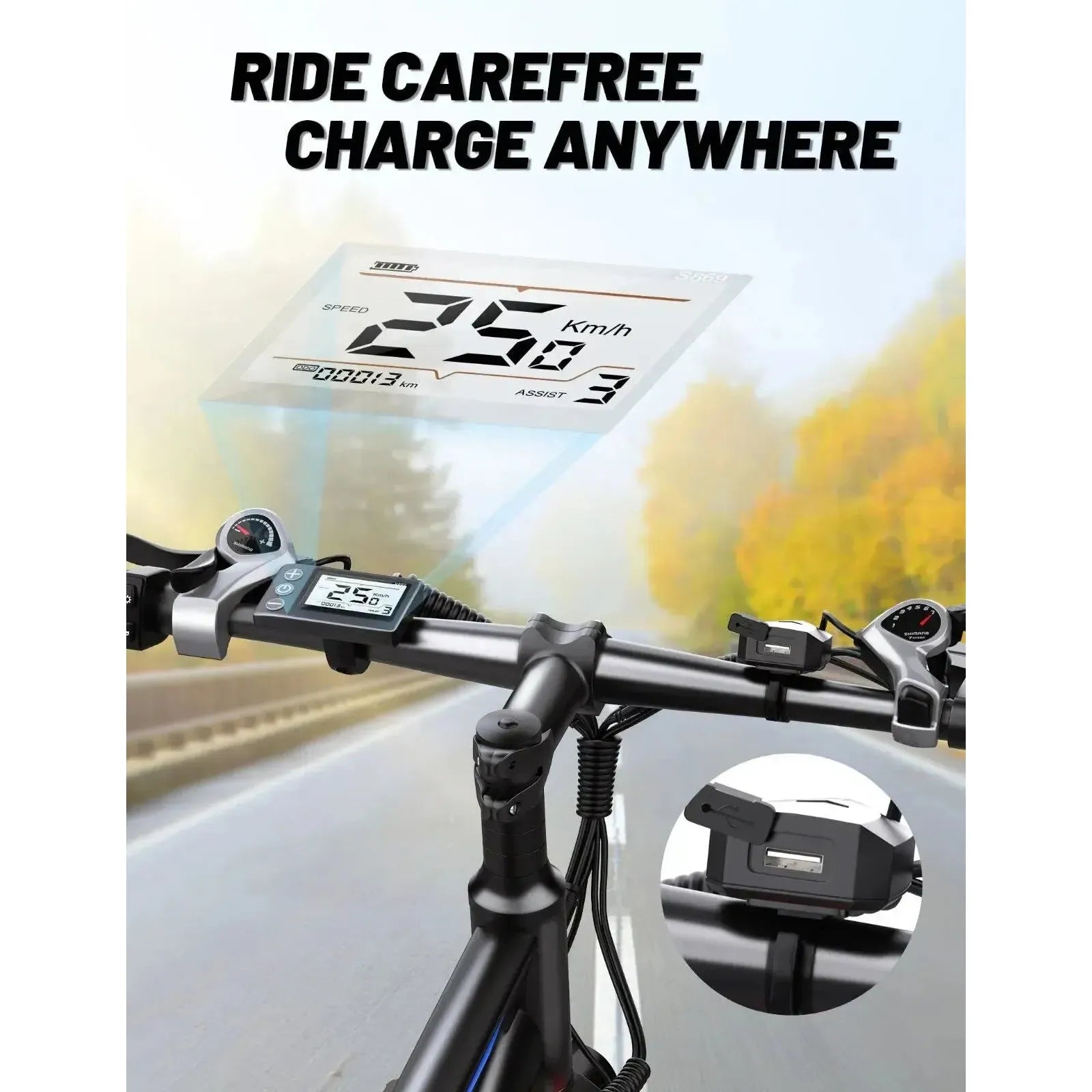 Duotts C29 Single Battery Electric Bike