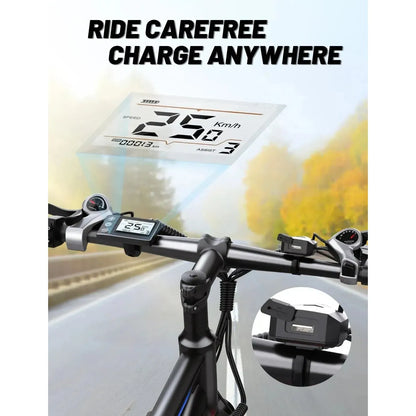 Duotts C29 Single Battery Electric Bike