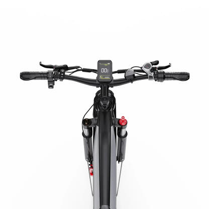 DUOTTS F26 Lite Electric Bike Fat Tyre Long Range for Adults up to 47 Km/h