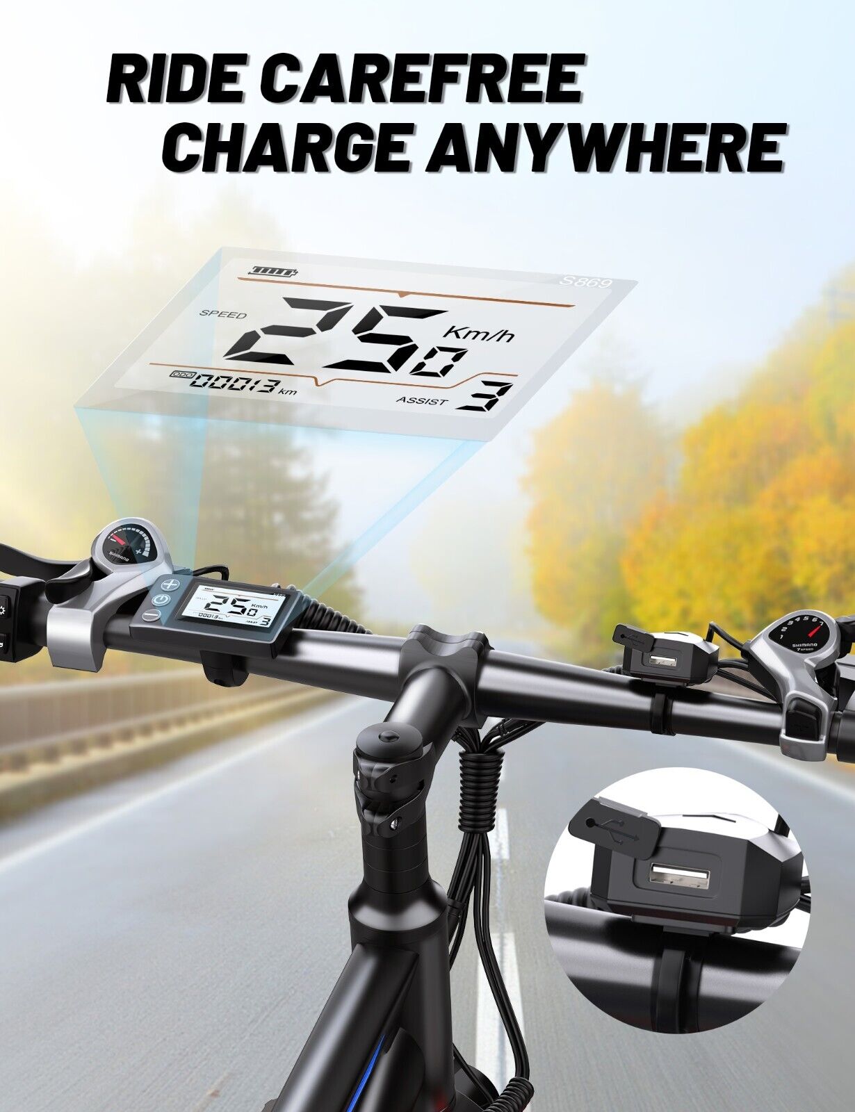 Duotts C29 Electric Bike