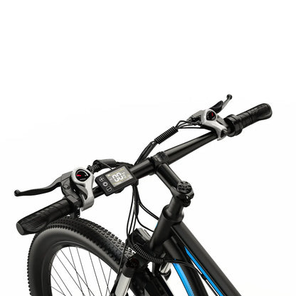 Duotts C29 Electric Bike