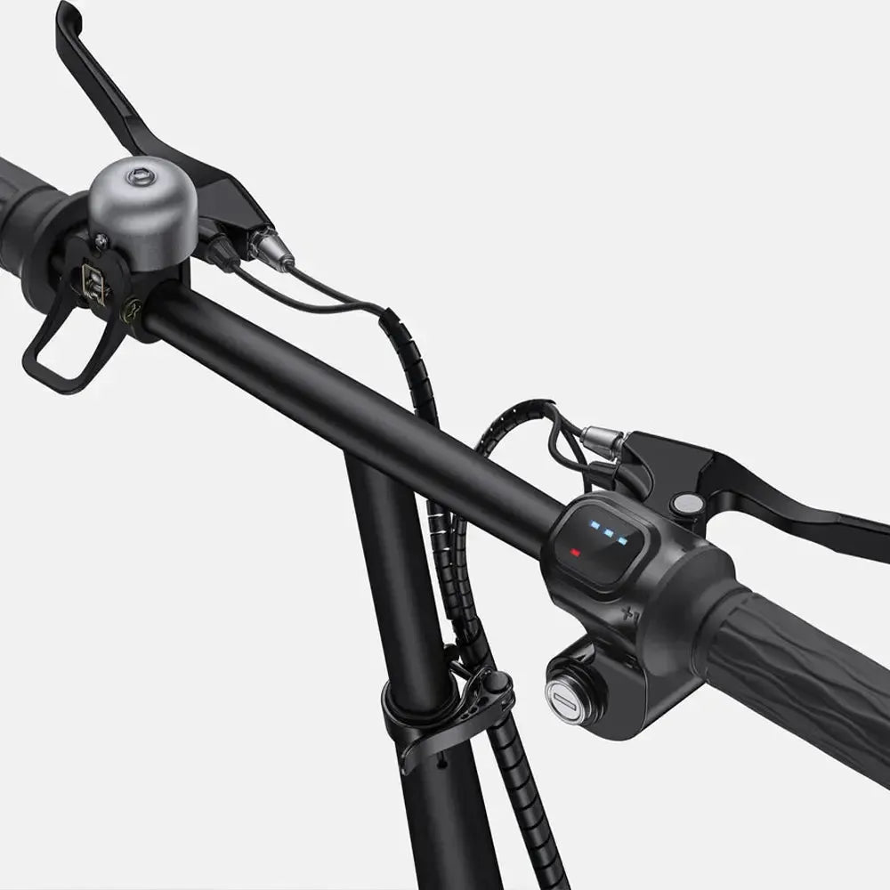 ENGWE T14 Folding Electric Bike