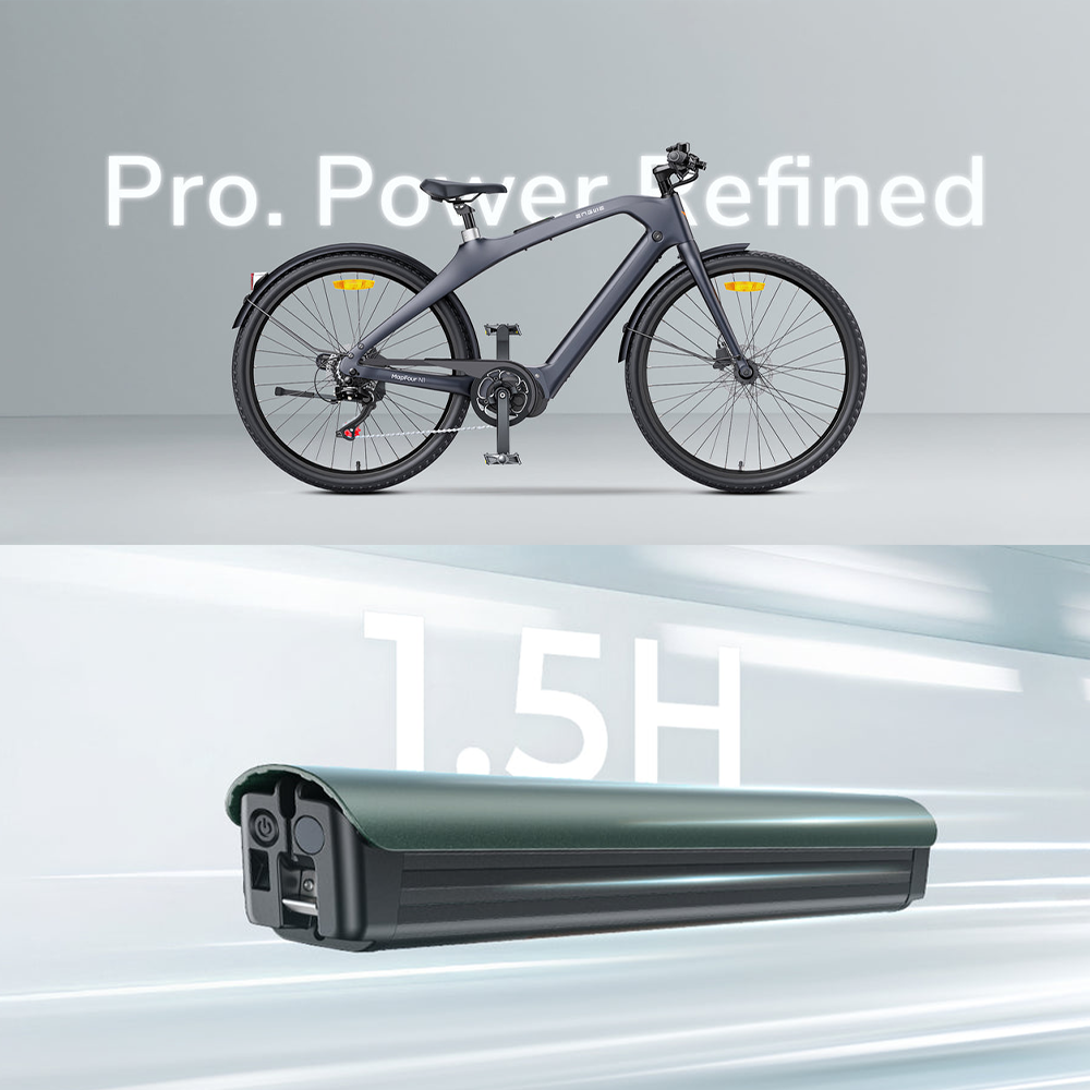 ENGWE N1 PRO