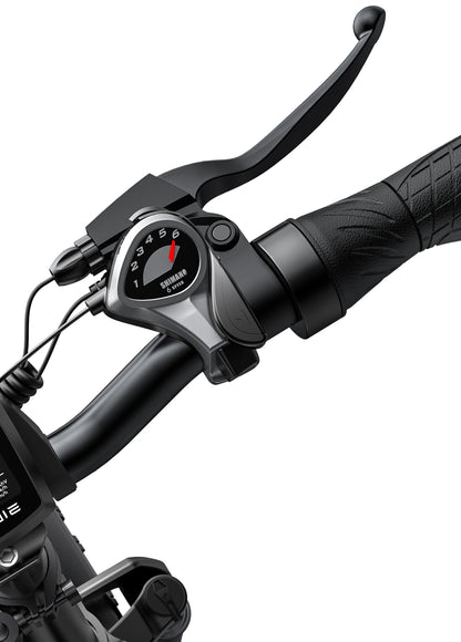 ENGWE PRO EP-2 Electric Bike