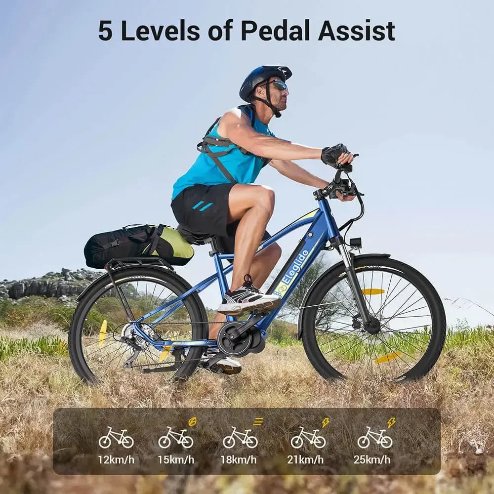Eleglide C1 Electric Bike