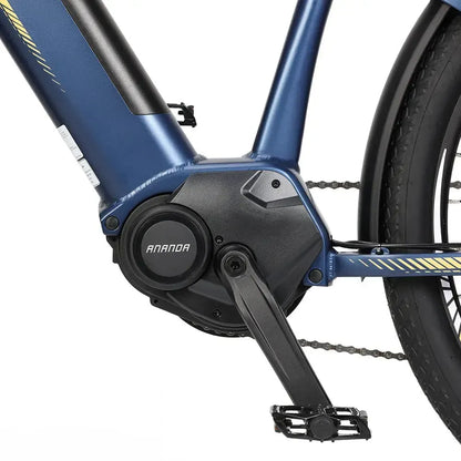 Eleglide C1 Electric Bike