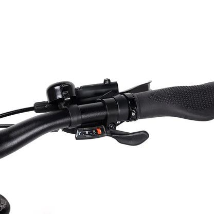 Eleglide C1 Step-Thru Electric Bike