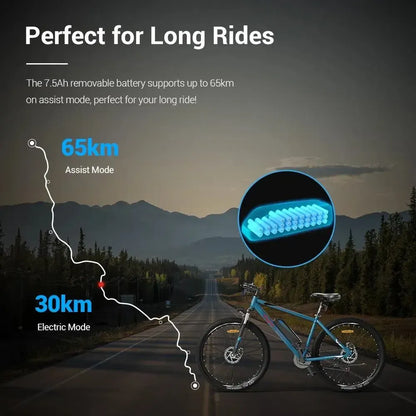 Eleglide M1 Mountain Electric Bike