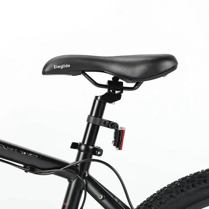 Eleglide M2 Electric Mountain Bike