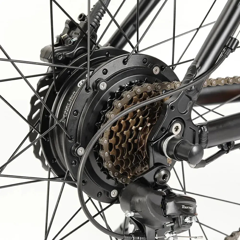 Eleglide M2 Electric Mountain Bike