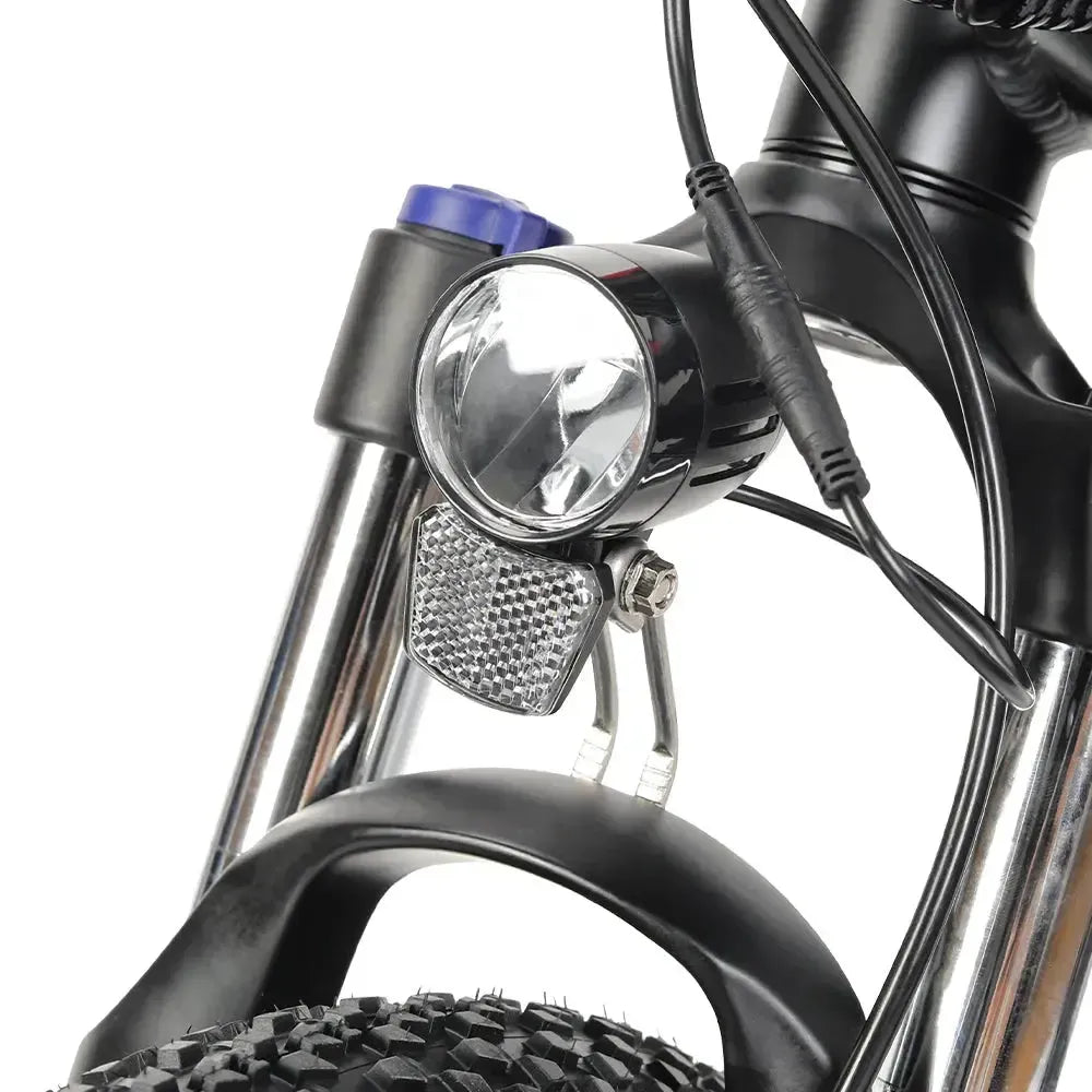 Eleglide M2 Electric Mountain Bike