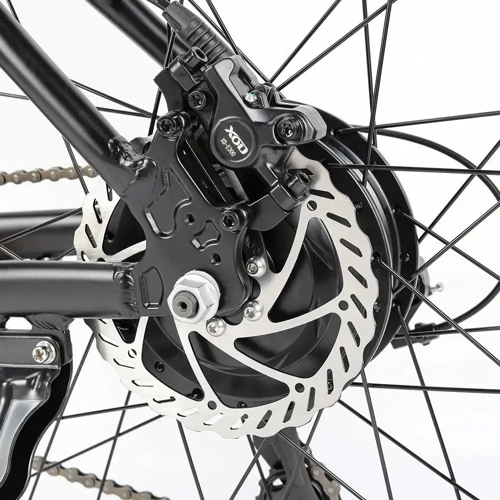 Eleglide M2 Electric Mountain Bike