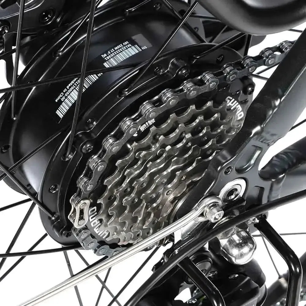 Eleglide T1 Step-Thru Electric Bike