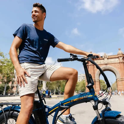 EMOTORAD TOLEDO Foldable Electric Bike Fat Tyre with Removable Battery up to 32 Km/h