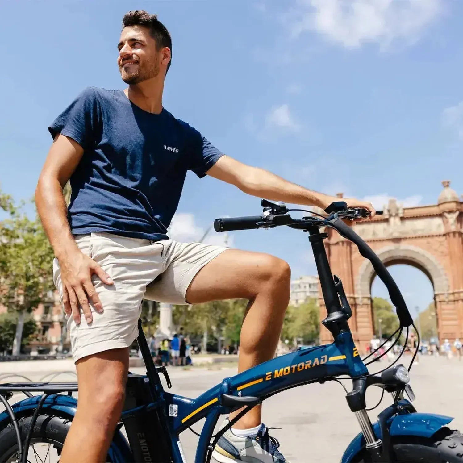 EMOTORAD TOLEDO Foldable Electric Bike Fat Tyre with Removable Battery up to 32 Km/h