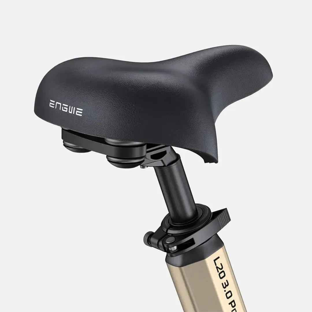 Engwe L20 3.0 Pro Electric Bike