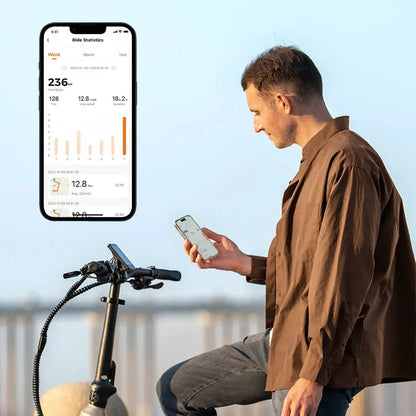 Engwe L20 3.0 Pro Electric Bike