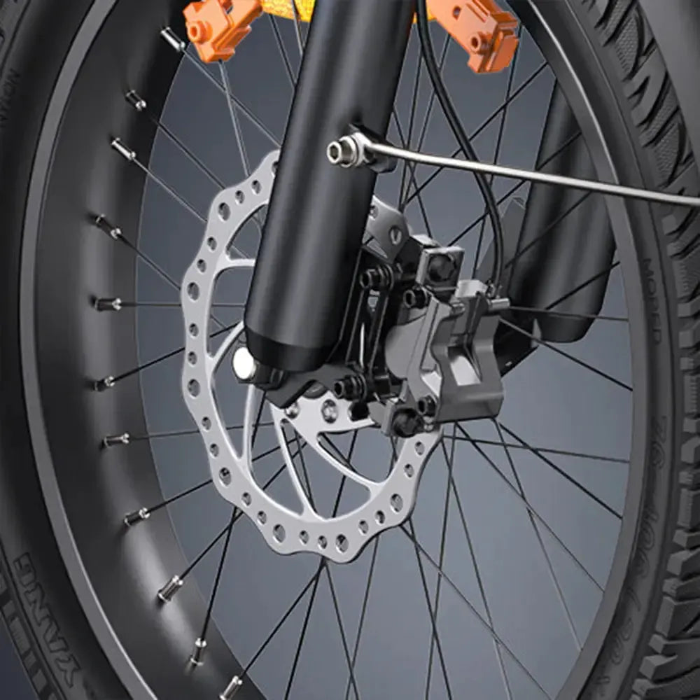 Engwe LE20 Cargo Dual-Battery Electric Bike