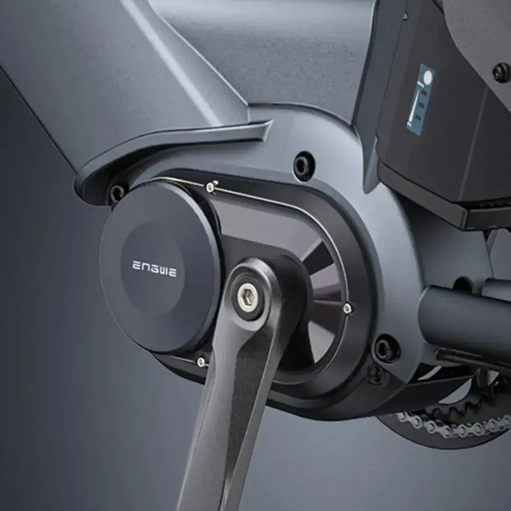 Engwe LE20 Cargo Dual-Battery Electric Bike