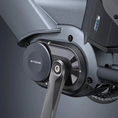 Engwe LE20 Cargo Dual-Battery Electric Bike