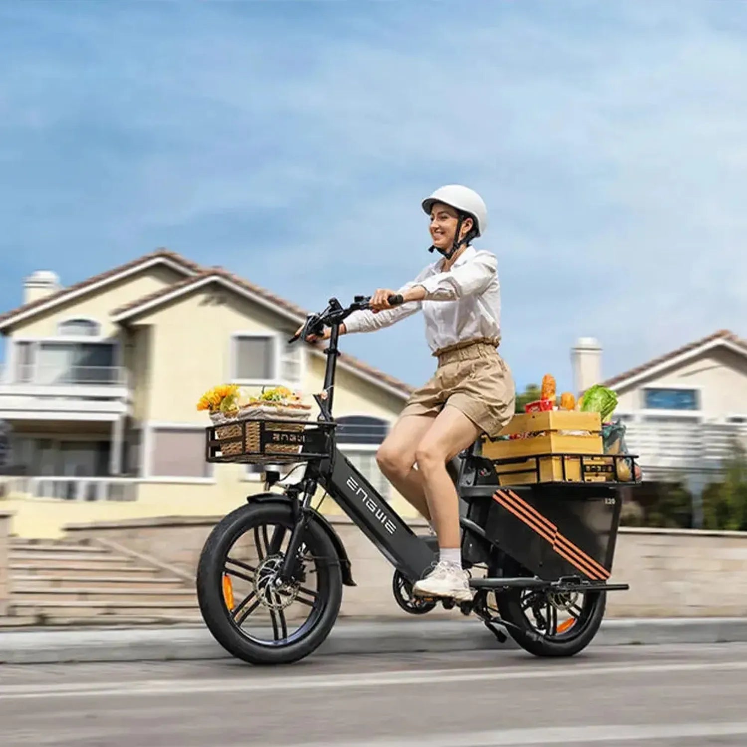 ENGWE LE20 Cargo Dual Battery Electric Bike Long Range Utility Bike up to 25 Km/h