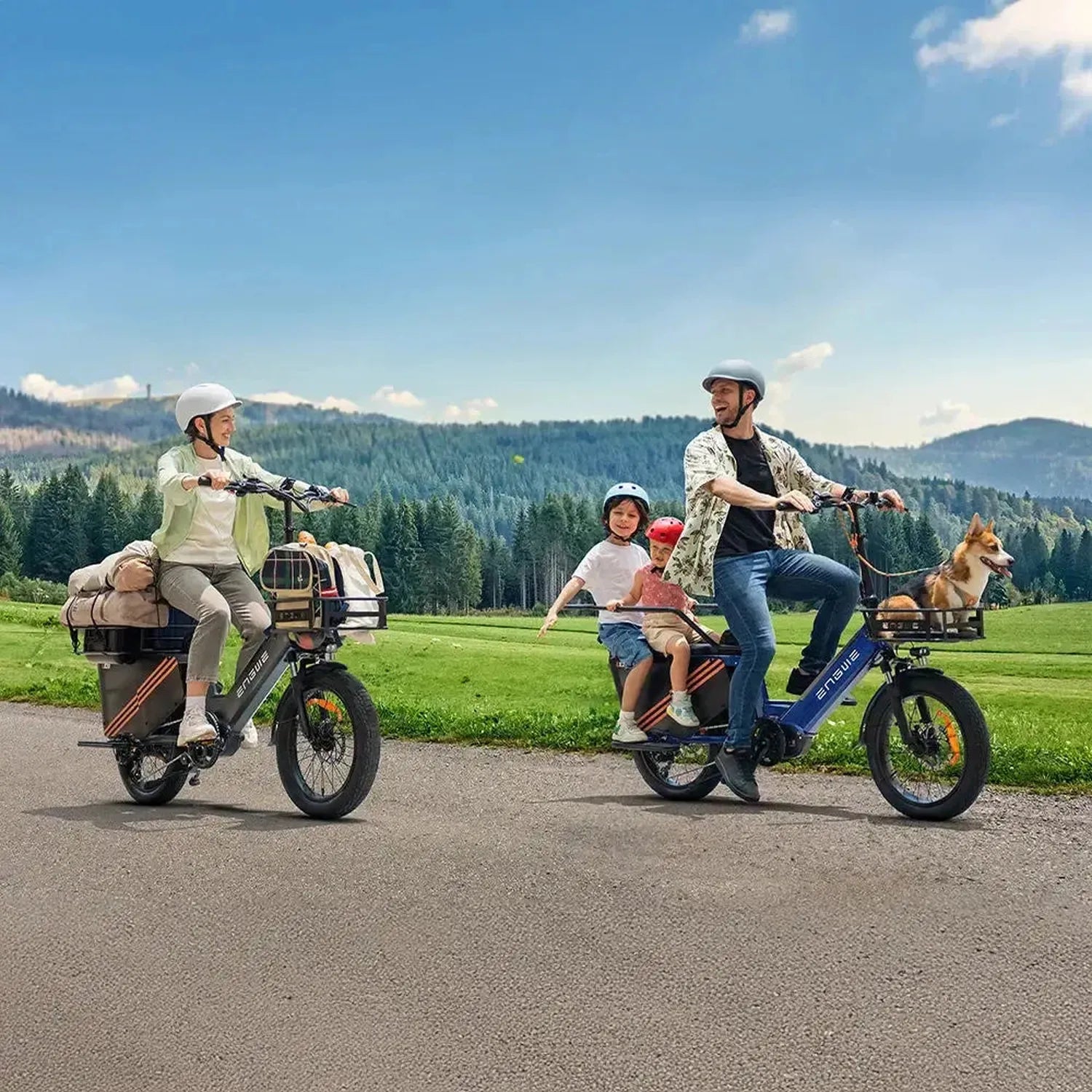 ENGWE LE20 Cargo Dual Battery Electric Bike Long Range Utility Bike up to 25 Km/h