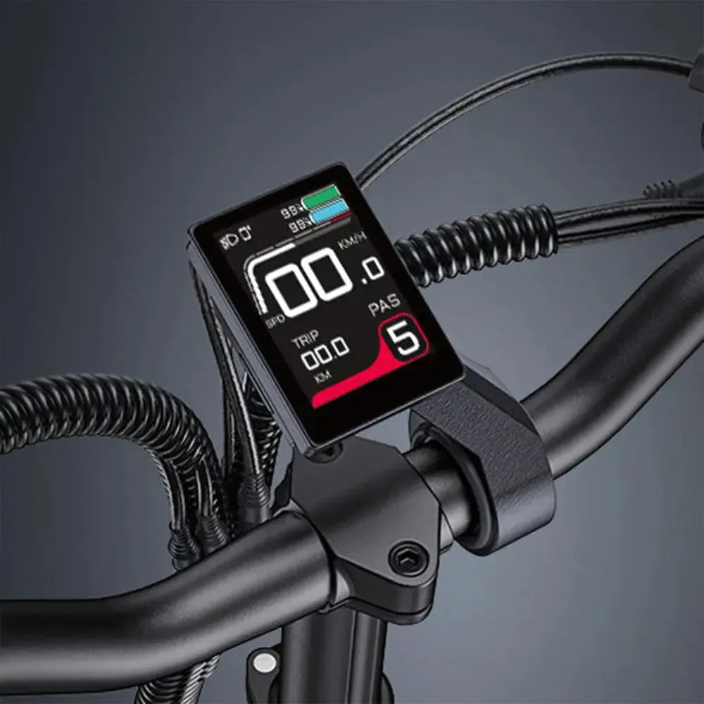 Engwe LE20 Cargo Dual-Battery Electric Bike