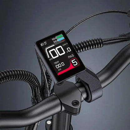 Engwe LE20 Cargo Dual-Battery Electric Bike
