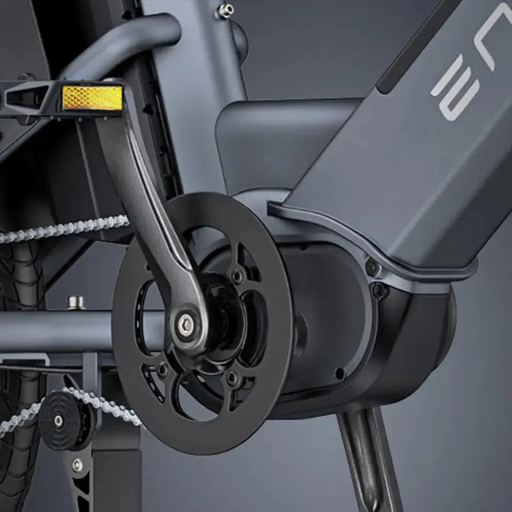 Engwe LE20 Cargo Dual-Battery Electric Bike
