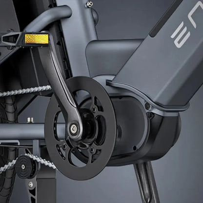 Engwe LE20 Cargo Dual-Battery Electric Bike