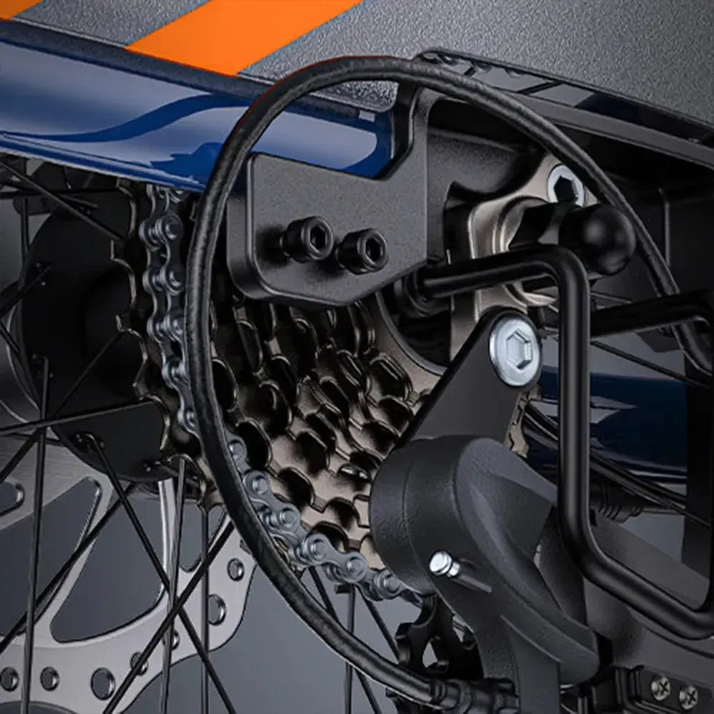 Engwe LE20 Cargo Dual-Battery Electric Bike