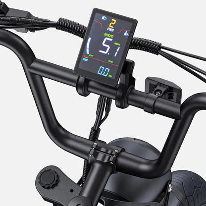 ENGWE M1 Dual Battery Electric Bike Fat Tyre Long Range Cruiser up to 45 Km/h