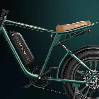 Engwe M20 Dual-Battery Electric Bike