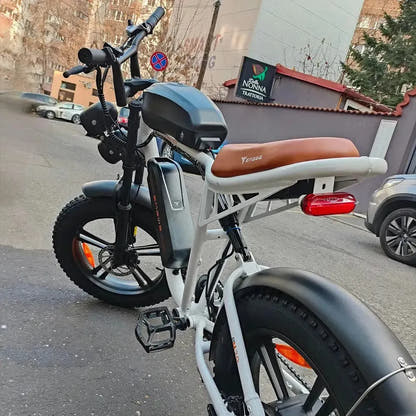 ENGWE M20 Dual Battery Electric Bike Fat Tyre Long Range Cruiser up to 45 Km/h