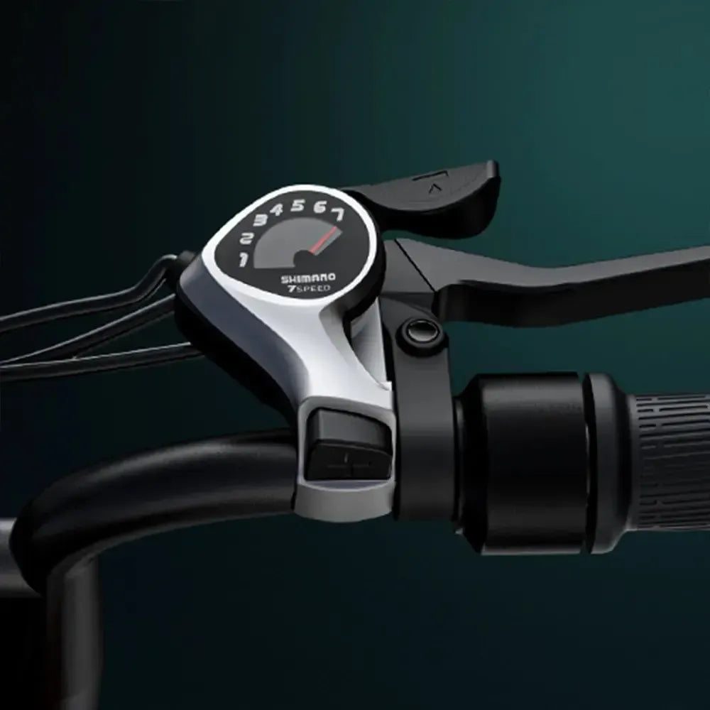 Engwe M20 Dual-Battery Electric Bike