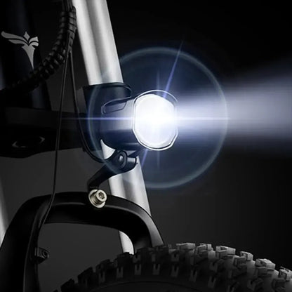 Engwe X20 Folding Electric Bike