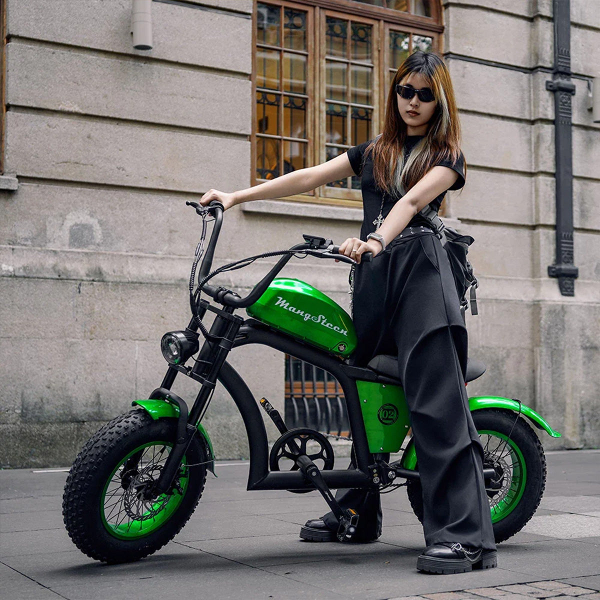 Mangosteen FT02 Mini E-Bike